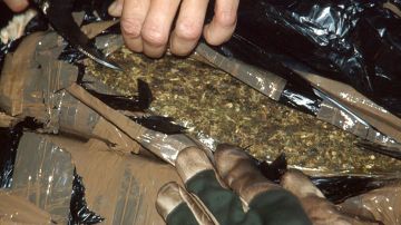 Los usuarios de drogas de “especias” obtuvieron la marihuana sintética de los traficantes de drogas locales.