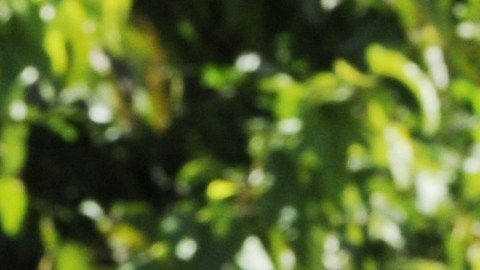 El hecho ocurrió en la tienda Burlington Coat Factory, en North Hollywood.