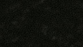 Hierbas medicinales contra el cáncer