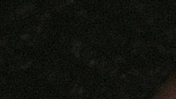 Hierbas medicinales contra el cáncer