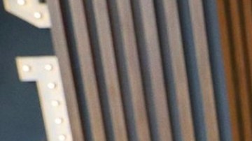 Migbelis Castellanos