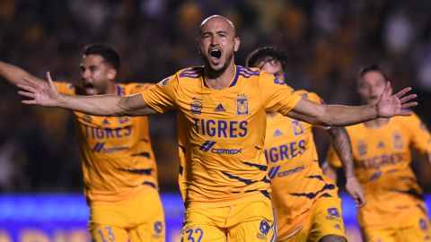 Tigres