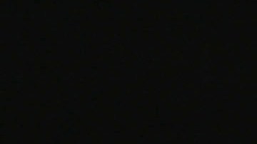 Julio César Chávez Jr