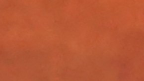 UEFA entregó premios a quienes trabajan por la inclusión en el fútbol