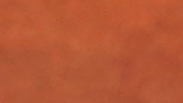 UEFA entregó premios a quienes trabajan por la inclusión en el fútbol