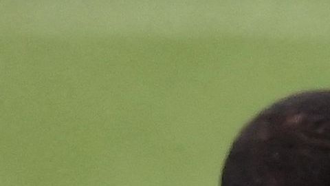 Keylor Navas Donnarumma