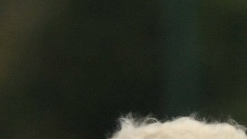 FBL-FRA-LIGUE1-PSG-TRAINING