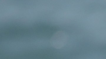 Lucca Mesinas hizo historia en el surf masculino