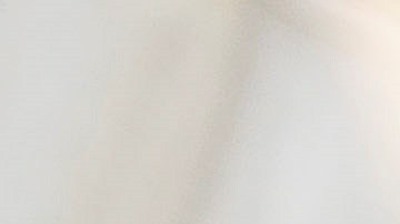 El nuevo mandato de vacunación contra el COVID-19 para los trabajadores del sector privado ya provocó fuerte críticas entre el sector empresarial de NYC.