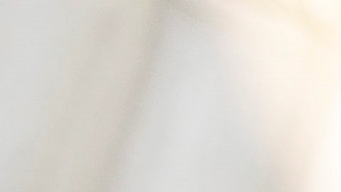 El nuevo mandato de vacunación contra el COVID-19 para los trabajadores del sector privado ya provocó fuerte críticas entre el sector empresarial de NYC.