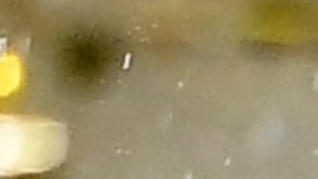 Aficionados apoyan a la FIFA y el Mundial cada dos años