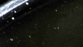 Muslos de pollo asados