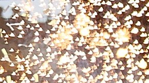 New York City FC es campeón de la Copa MLS