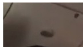 "Siéntate Karen": Pelea en vuelo de Delta por el uso de máscara termina con una mujer detenida