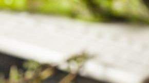 Primer Rib para Navidad