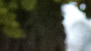 Khloé Kardashian no quiere darle la cara a los paparazzi.