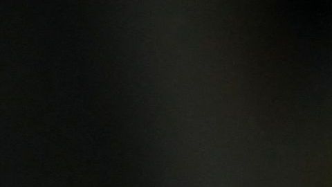 Perú se enfrentará a Jamaica en enero