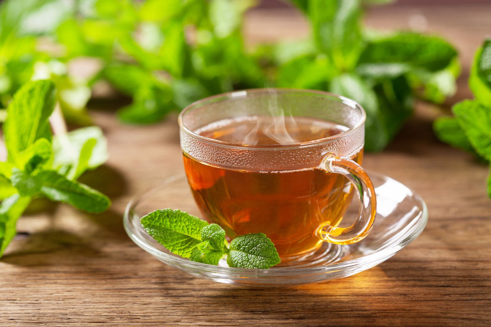 Peso saludable: una taza de té de menta al día agiliza el metabolismo