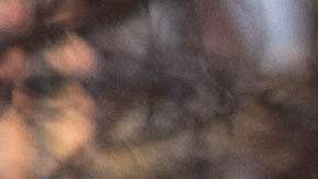 La ciudad de Nueva York ha entrado en el nivel de alerta de riesgo medio.