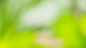 Té de menta para bajar de peso