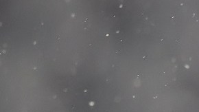 FC Bayern München v FC Barcelona: Group E - UEFA Champions League