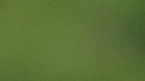 Tiger Woods reapareción junto a su hijo Charlie