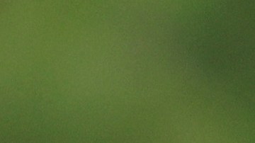 Tiger Woods reapareción junto a su hijo Charlie