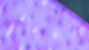 La celebración de Año Nuevo en Times Square sigue en pie pero reducida en un 75%