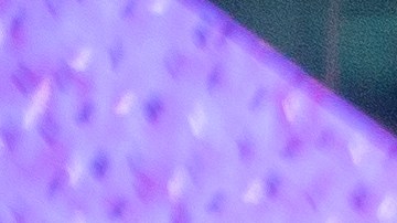 La celebración de Año Nuevo en Times Square sigue en pie pero reducida en un 75%