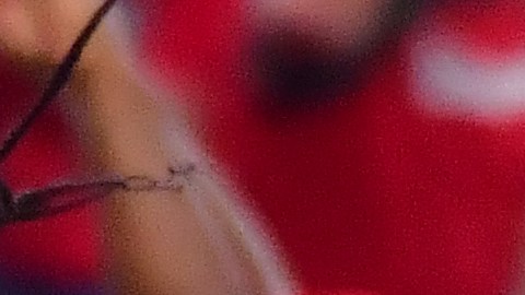 Tom Brady