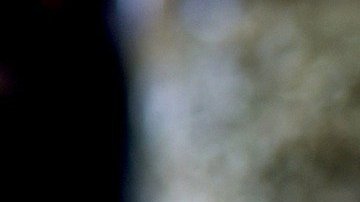 Valor nutricional rebanada pizza