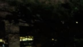 En la protesta, los vendedores decoraron un árbol de Navidad con los cientos de tickets de multas.