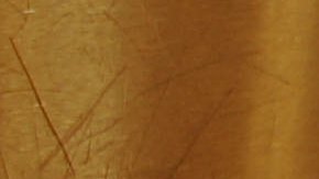 Wendy's papas gratis