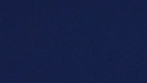 Zenit realiza noble gesto con perros