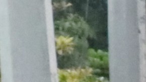 Accidente en Chiapas.