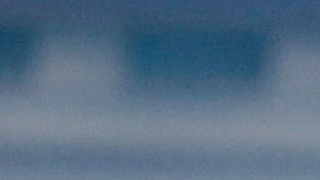 anthony-fauci-jubilacion