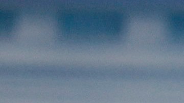 anthony-fauci-jubilacion