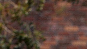 bancos-horarios-año-nuevo