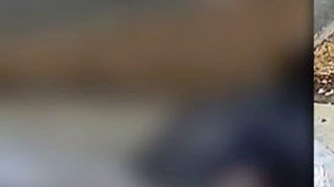 Imagen del sospechoso.