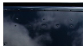 chofer UPS perro (1)