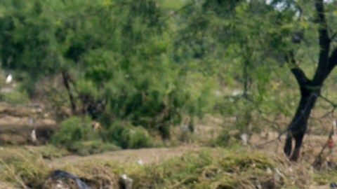 Clima El Niño La Niña