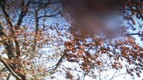 Calle en el vecindario Jamaica, Queens, NYC.