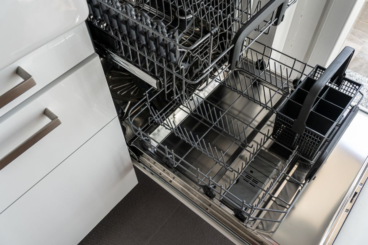 Two young men decided to fix a dishwasher on their own and were horrified by what they found.