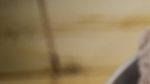 Nombres para niña 2022