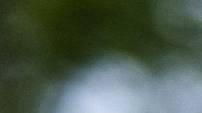 perros mataron a una mujer en california