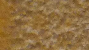 embrión de dinosaurio descubierto en china a dentro de su huevo