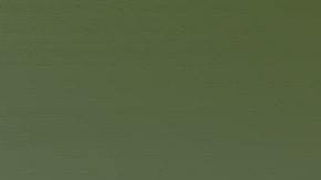 serpiente en australia