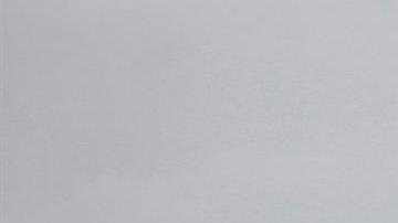 Pierde Aeroméxico perro vuelo Denver México