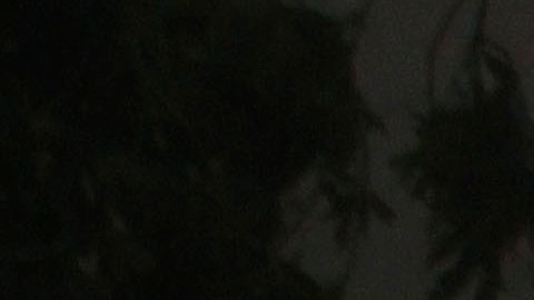 Dos jóvenes asesinados en Puerto Rico.