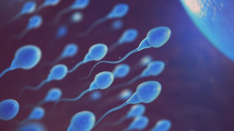 Enfermar de COVID reduce la calidad del semen por varios meses